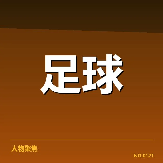 法国杯球场建设：公共投资与赛事发展谁在受益